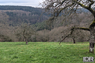 achat terrain hommert 57870