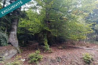 achat terrain housseras 88700