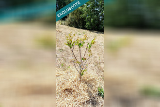 achat terrain huismes 37420