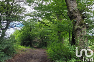 achat terrain hundling 57990