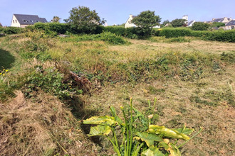 achat terrain ile-molene 29259