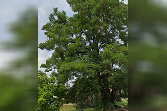 achat terrain izon 33450