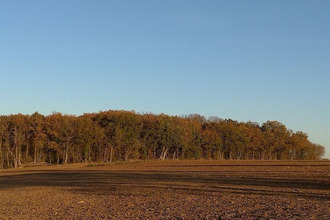 achat terrain jeu-les-bois 36120