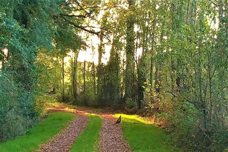 achat terrain jeu-les-bois 36120