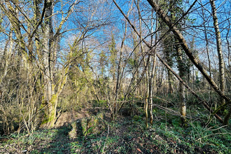 achat terrain jouarre 77640