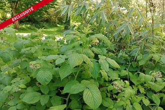 achat terrain joue-sur-erdre 44440