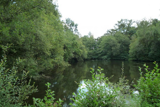 achat terrain juillac 19350