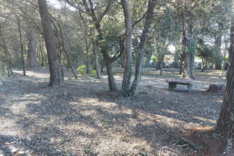 achat terrain l-epine 85740