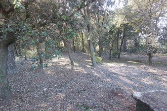 achat terrain l-epine 85740