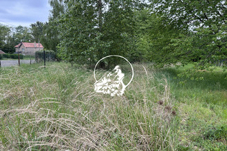 achat terrain l-hopital 57490