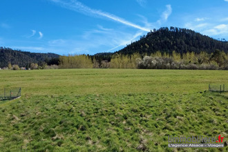 achat terrain la-bgonce 88470