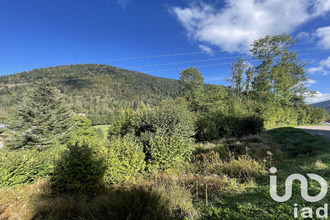 achat terrain la-bresse 88250