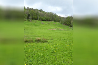 achat terrain la-bresse 88250