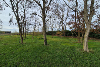 achat terrain la-chapelle-st-martin-en-plaine 41500