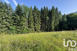 achat terrain la-cote-d-arbroz 74110