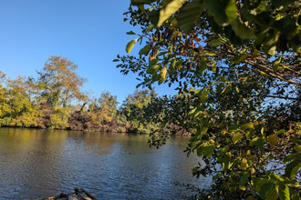 achat terrain la-fleche 72200