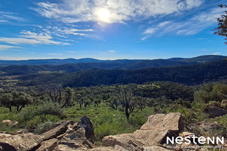 achat terrain la-garde-freinet 83680