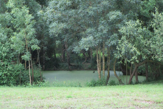 achat terrain la-jonchere 85540