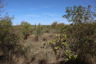 achat terrain la-liviniere 34210