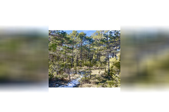 achat terrain la-martre 83840