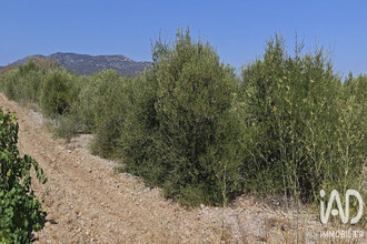 achat terrain la-palme 11480