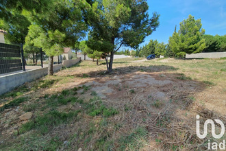 achat terrain la-palme 11480