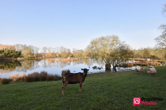 achat terrain la-tessoualle 49280