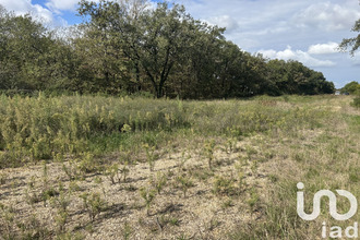 achat terrain la-ville-dieu-du-temple 82290