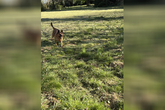 achat terrain laa-mondrans 64300