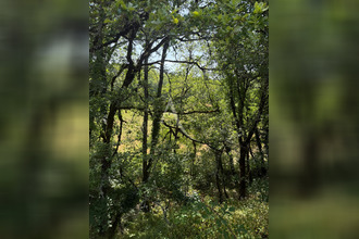 achat terrain labastide-du-vert 46150