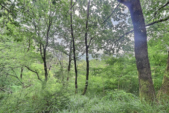 achat terrain labegude 07200