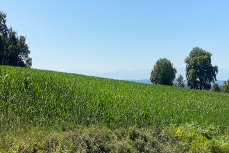 achat terrain labeyrie 64300