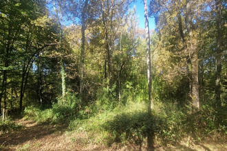 achat terrain lagrange 40240