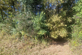 achat terrain lagrange 40240