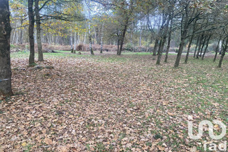 achat terrain laigne-en-belin 72220