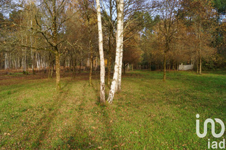 achat terrain laigne-en-belin 72220