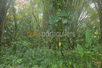 achat terrain lamentin 97129