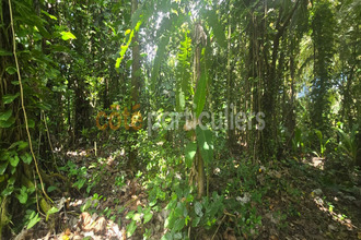 achat terrain lamentin 97129