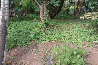 achat terrain lamentin 97232