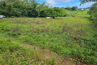 achat terrain lamentin 97232
