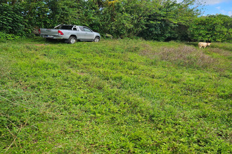 achat terrain lamentin 97232