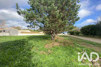 achat terrain landeronde 85150
