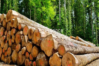 achat terrain landevant 56690