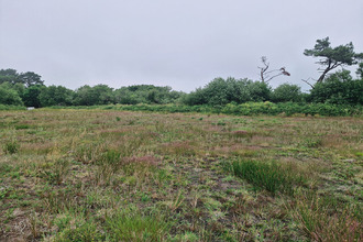 achat terrain landunvez 29840