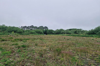 achat terrain landunvez 29840
