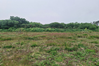 achat terrain landunvez 29840