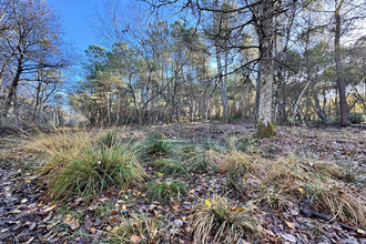 achat terrain langeais 37130