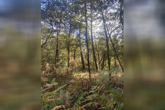 achat terrain langon 35660