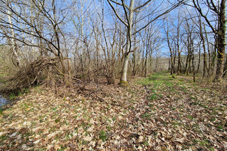 achat terrain langon 41320