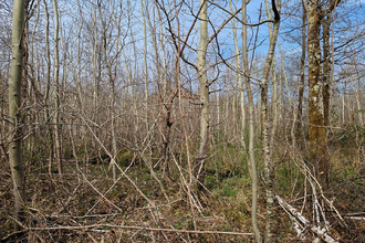 achat terrain langon 41320